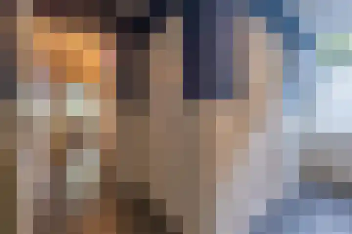 Haneman 3 Winssen thumbnail 22