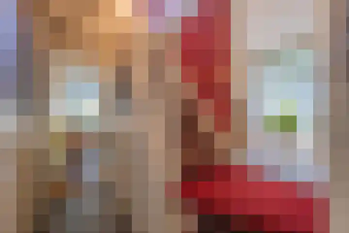 Haneman 3 Winssen thumbnail 23