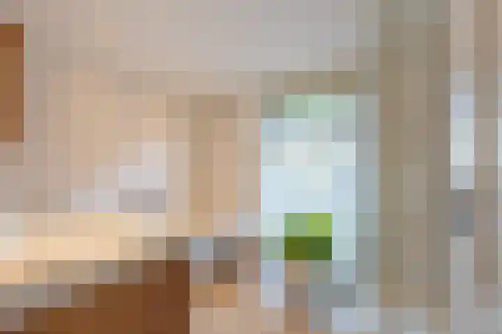 Haneman 3 Winssen thumbnail 24