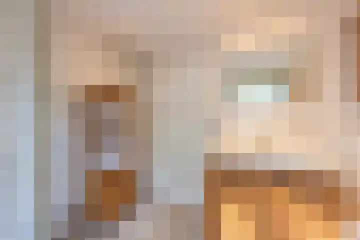 Haneman 3 Winssen thumbnail 25