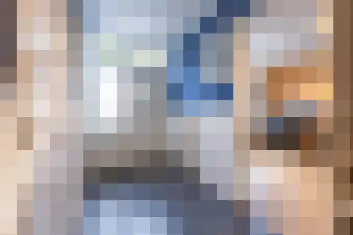 Haneman 3 Winssen thumbnail 26