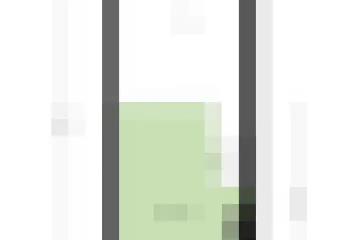 Haneman 3 Winssen thumbnail 27