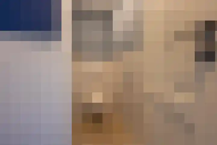 Haneman 3 Winssen thumbnail 27