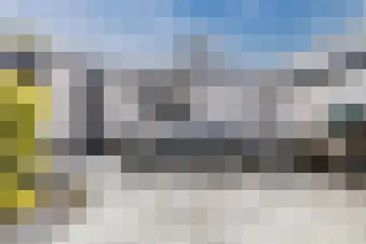 Haneman 3 Winssen thumbnail 28