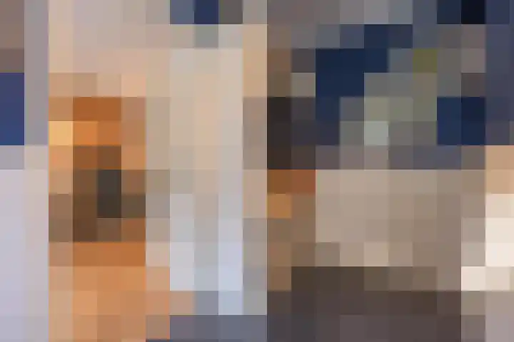 Haneman 3 Winssen thumbnail 28