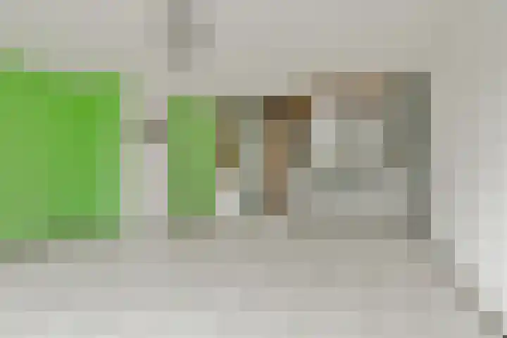 Haneman 3 Winssen thumbnail 29