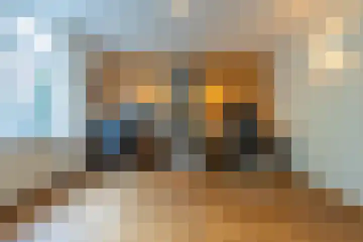 Haneman 3 Winssen thumbnail 29