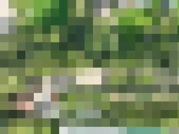 Haneman 3 Winssen foto 3