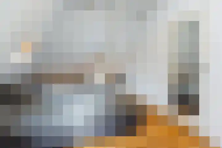 Haneman 3 Winssen thumbnail 32