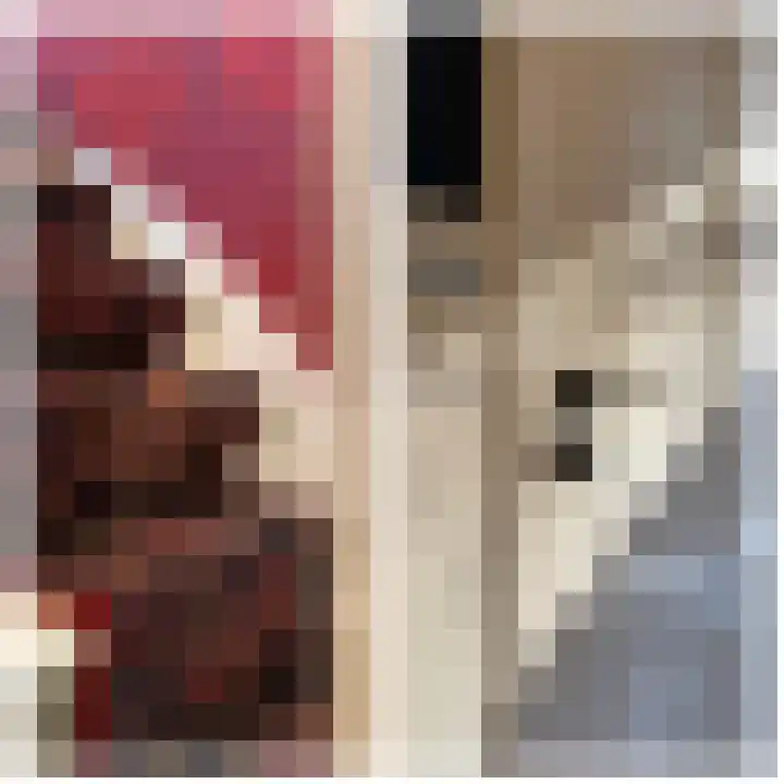 Haneman 3 Winssen thumbnail 34