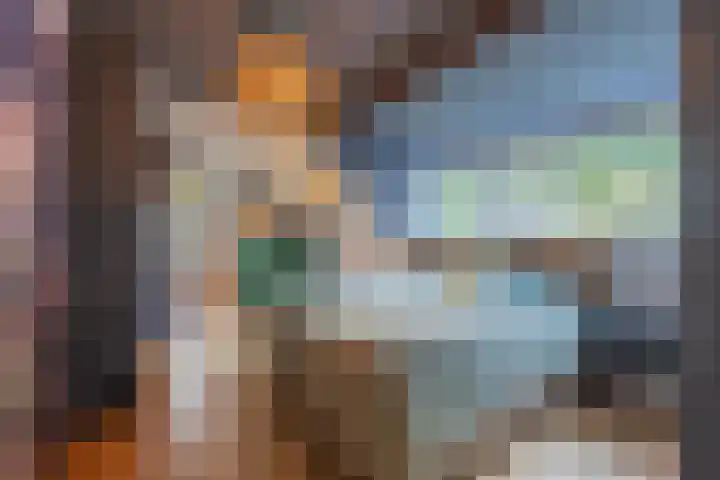 Haneman 3 Winssen thumbnail 36