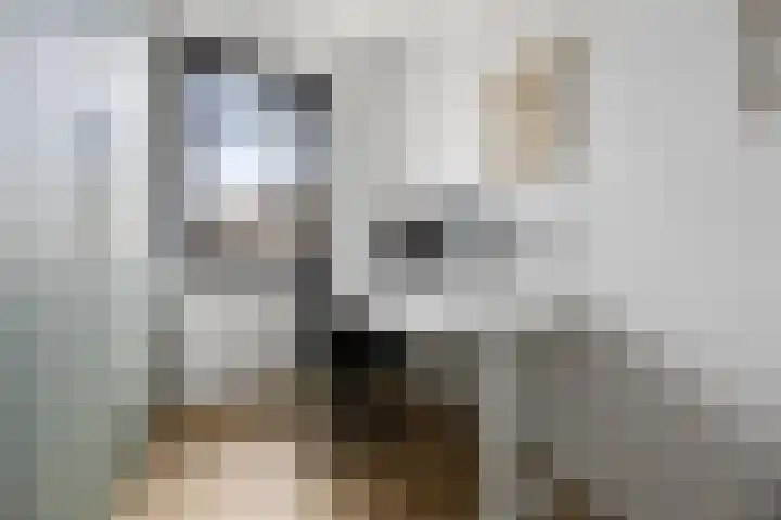 Haneman 3 Winssen thumbnail 39