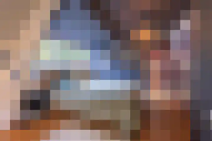 Haneman 3 Winssen thumbnail 39