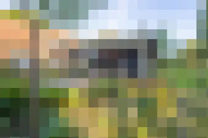 Haneman 3 Winssen thumbnail 4