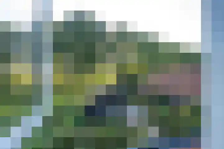 Haneman 3 Winssen thumbnail 41