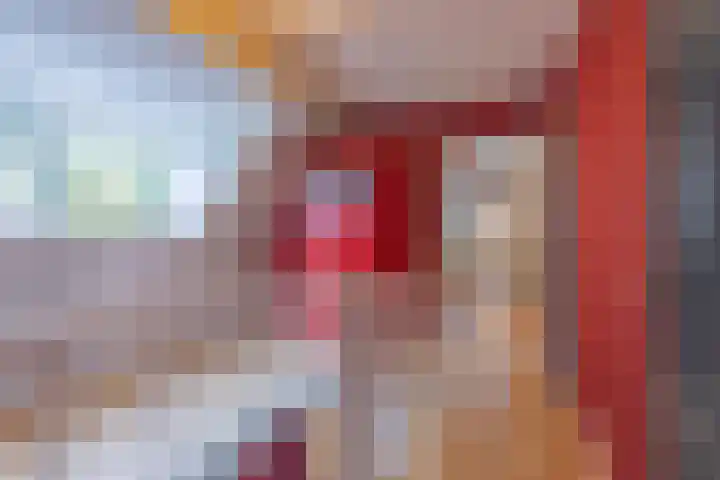 Haneman 3 Winssen thumbnail 42