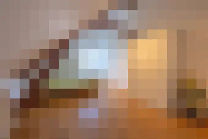 Haneman 3 Winssen thumbnail 43