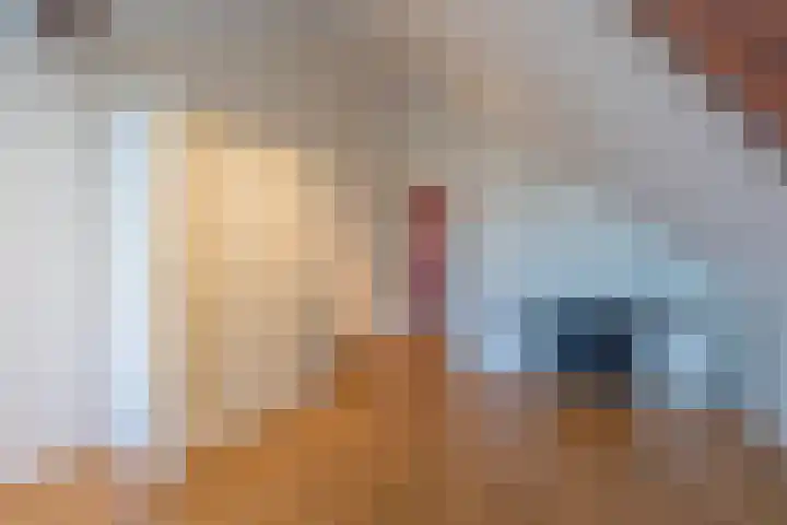 Haneman 3 Winssen thumbnail 44