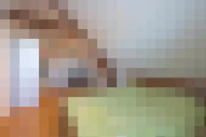 Haneman 3 Winssen thumbnail 45