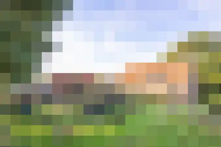 Haneman 3 Winssen thumbnail 46