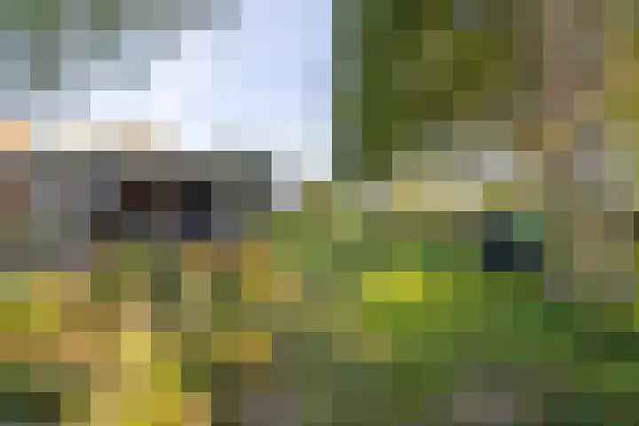 Haneman 3 Winssen thumbnail 47