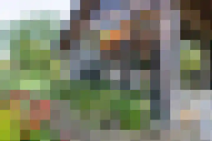 Haneman 3 Winssen thumbnail 48