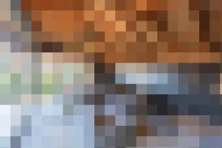 Haneman 3 Winssen thumbnail 49