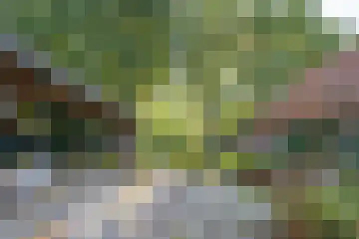 Haneman 3 Winssen thumbnail 50