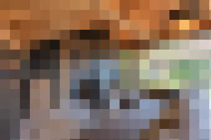 Haneman 3 Winssen thumbnail 51