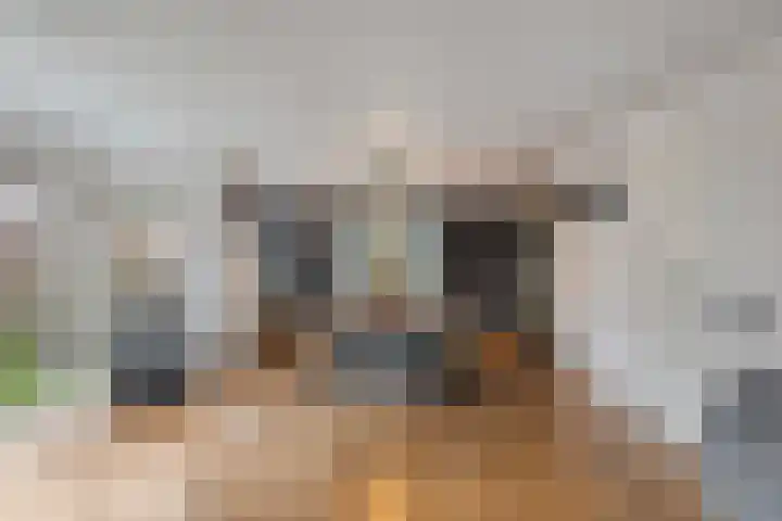 Haneman 3 Winssen thumbnail 53