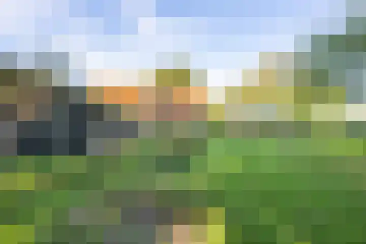 Haneman 3 Winssen thumbnail 53