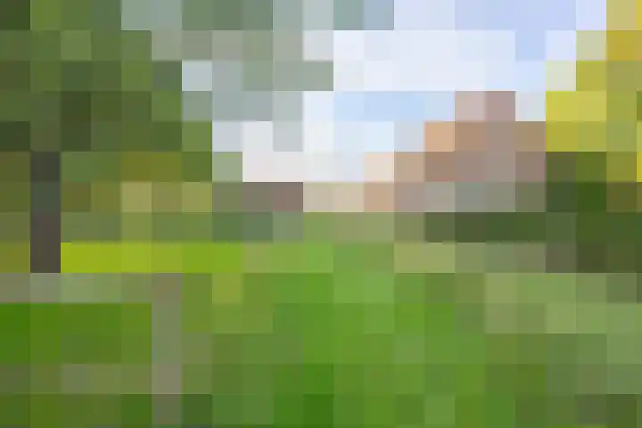 Haneman 3 Winssen thumbnail 54