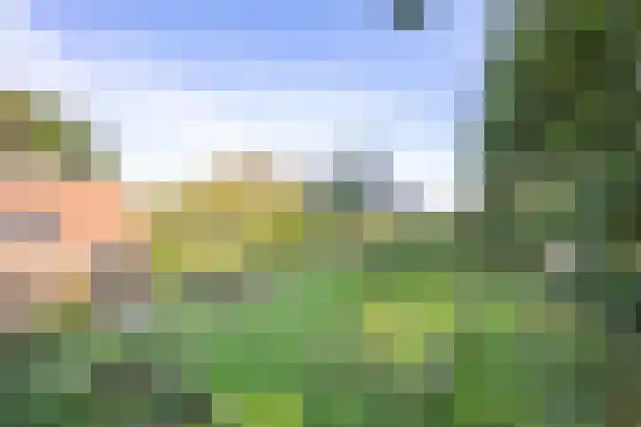 Haneman 3 Winssen thumbnail 55