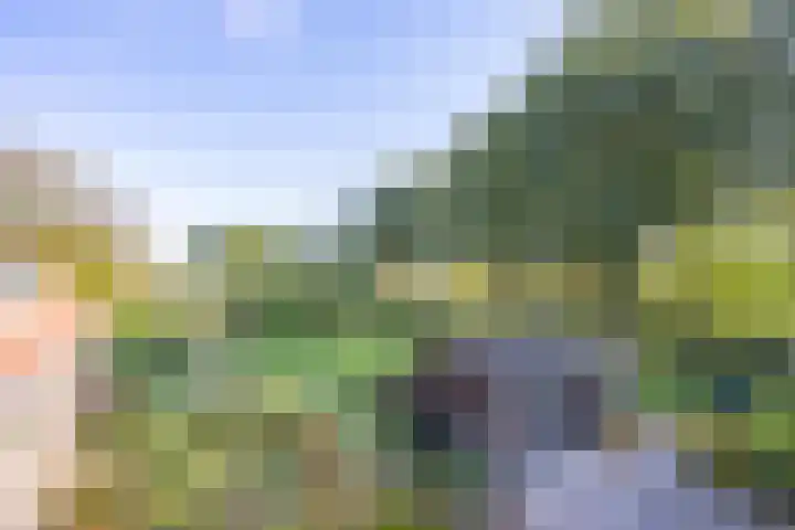 Haneman 3 Winssen thumbnail 56