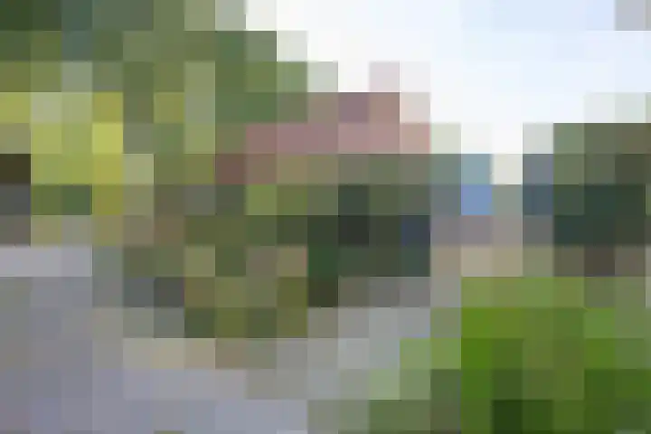 Haneman 3 Winssen thumbnail 57