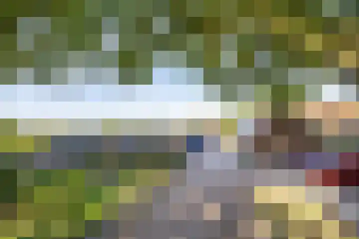 Haneman 3 Winssen thumbnail 58