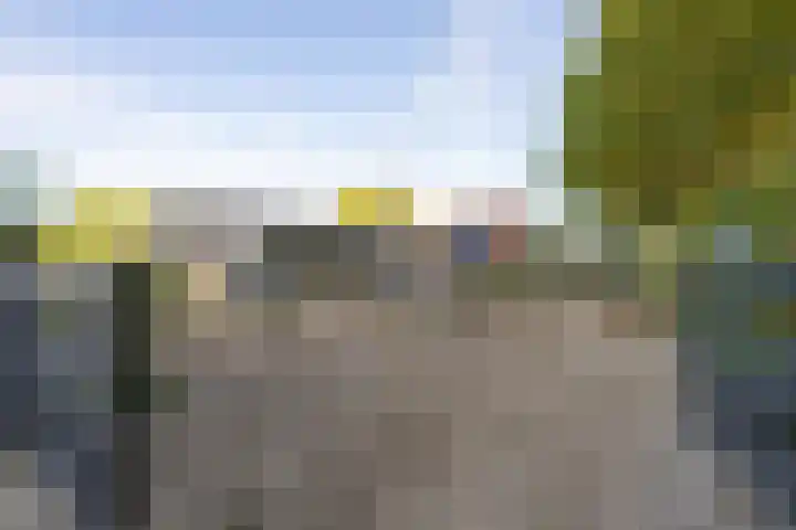 Haneman 3 Winssen thumbnail 59