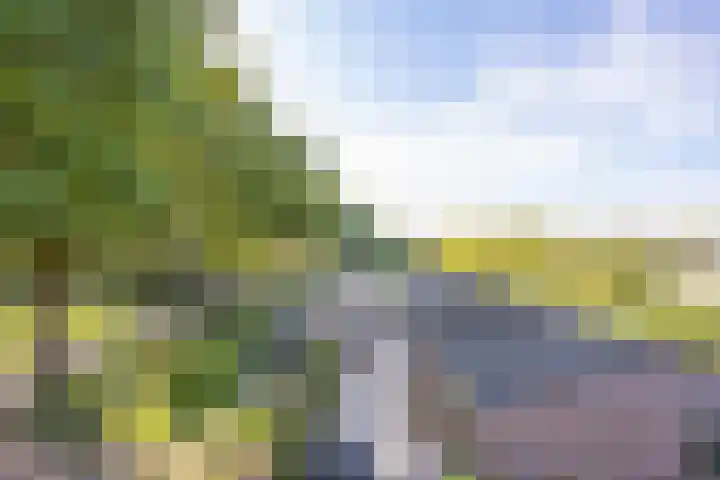 Haneman 3 Winssen thumbnail 6
