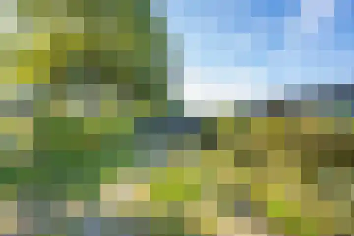 Haneman 3 Winssen thumbnail 60