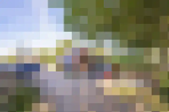 Haneman 3 Winssen thumbnail 61