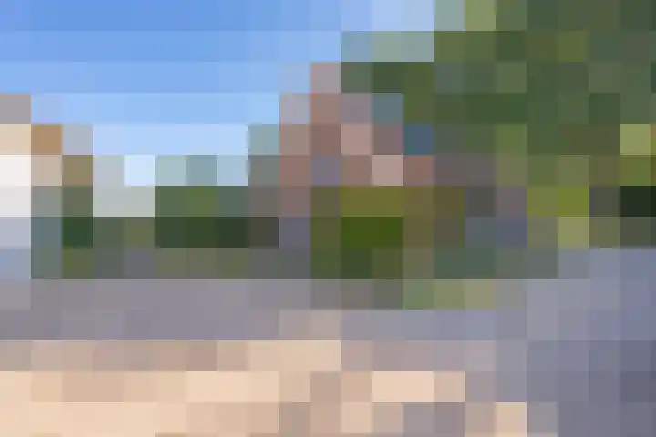 Haneman 3 Winssen thumbnail 62