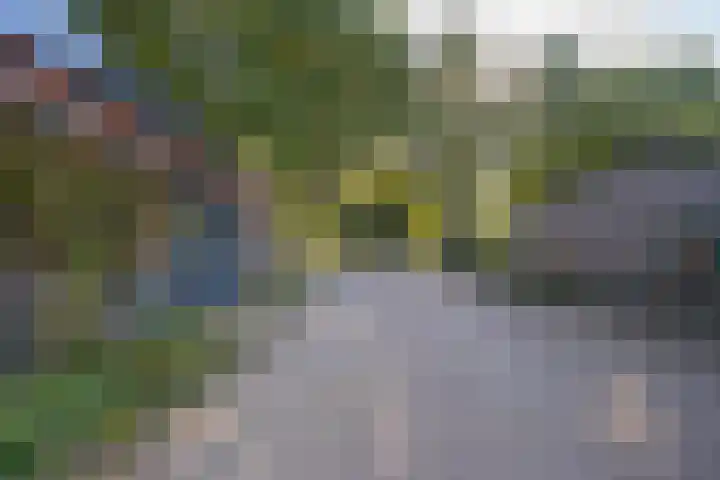Haneman 3 Winssen thumbnail 63