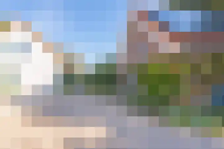 Haneman 3 Winssen thumbnail 65