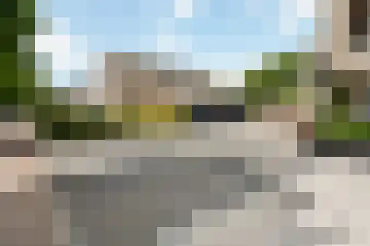 Haneman 3 Winssen thumbnail 67