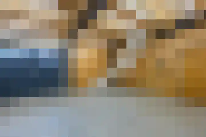 Haneman 3 Winssen thumbnail 67