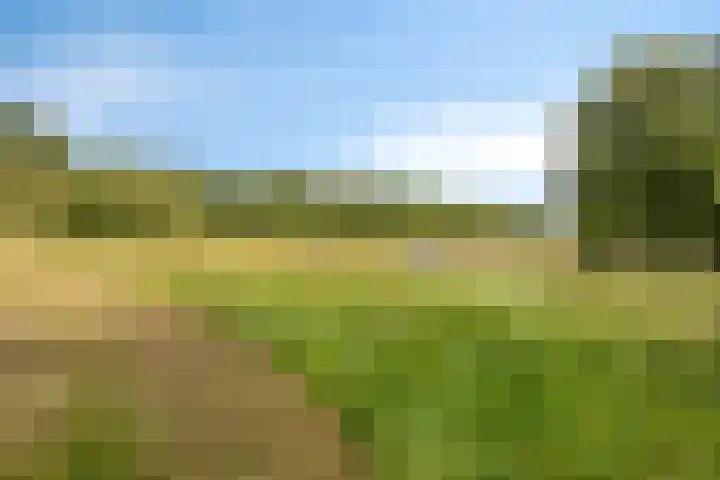 Haneman 3 Winssen thumbnail 68