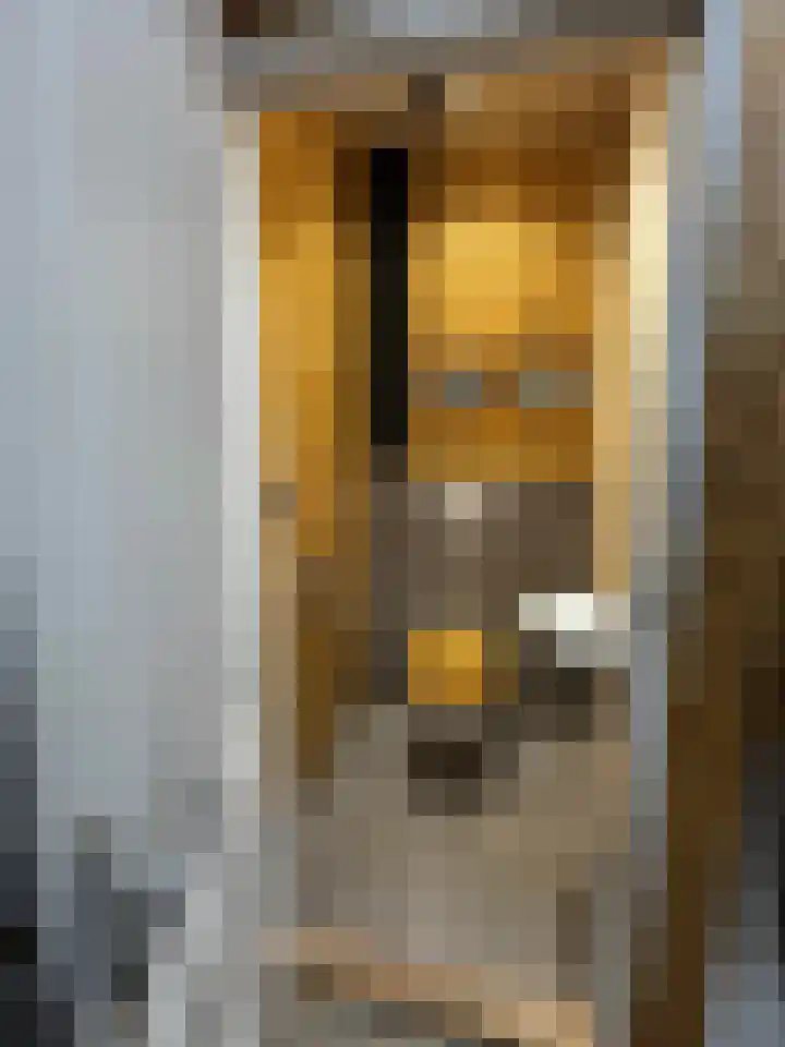 Haneman 3 Winssen thumbnail 68