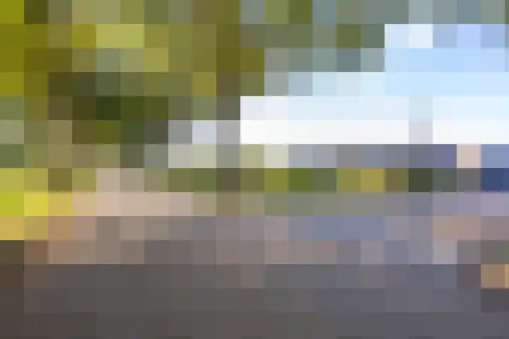 Haneman 3 Winssen thumbnail 69