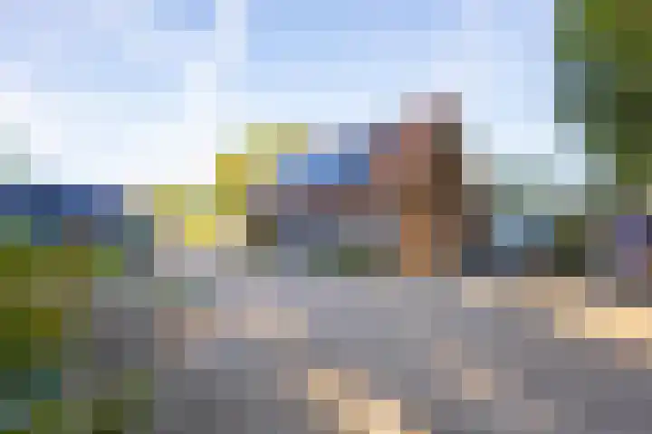 Haneman 3 Winssen thumbnail 7