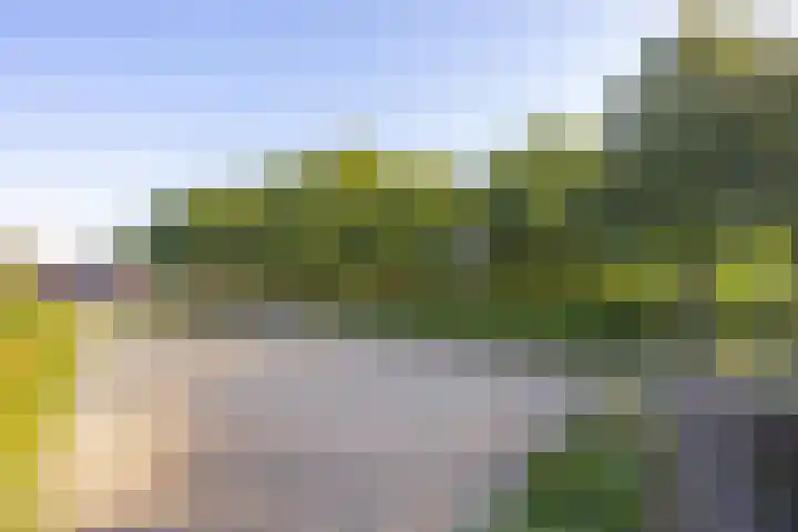 Haneman 3 Winssen thumbnail 70